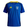 Original Fußballtrikot Ukraine Auswärtstrikot 2024-25 Für Herren